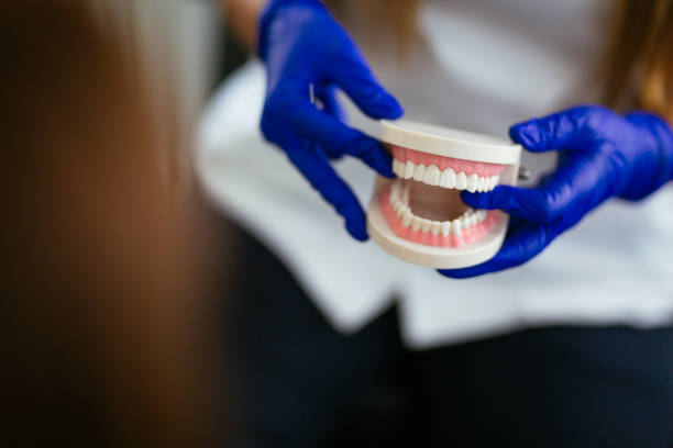 Best Traditional Braces  in Kalifornsky, AK
